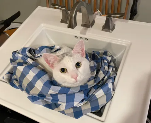 I guess my shirt and the sink belong to him now…