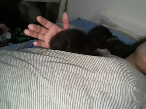 From 1 month to 2 years ❤️