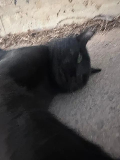 I think I really fucked up :(