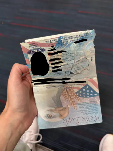 Our dog chewed my wife’s passport 12 hours before our international flight