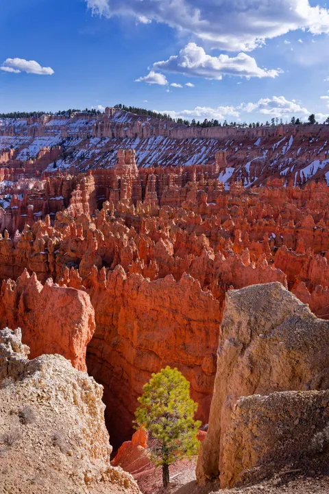 Bryce Canyon National Park, Utah. [OC][2668x4000]