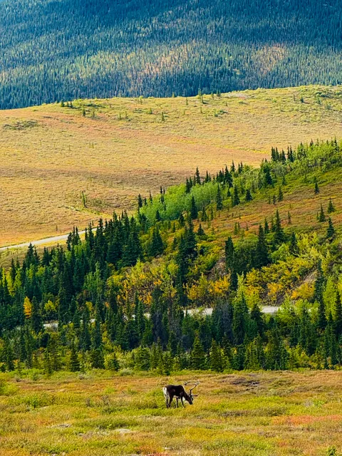 Alaska, US was simply mindblowing