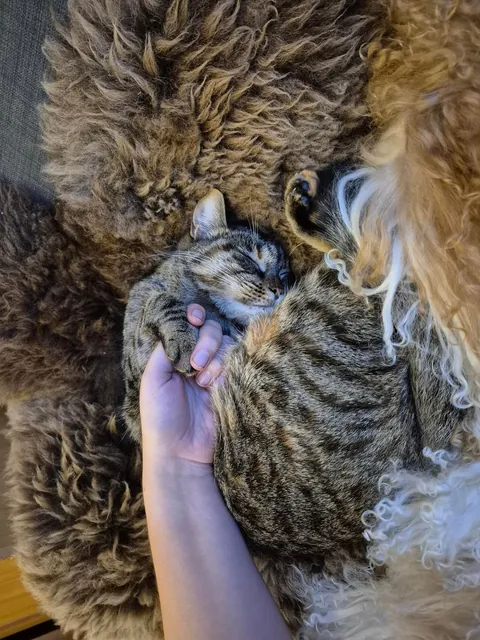 She wanted me to hold her hand while she was sleeping ❤️