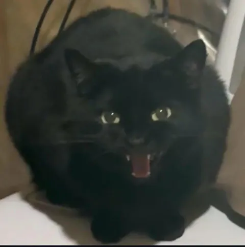 It’s 1 am and I'm being screamed at