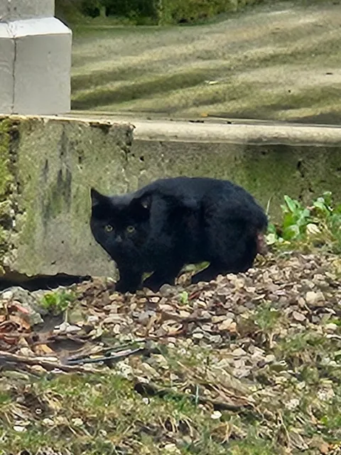 It Feels Like You Blink—Then Suddenly They’re Full-Sized!