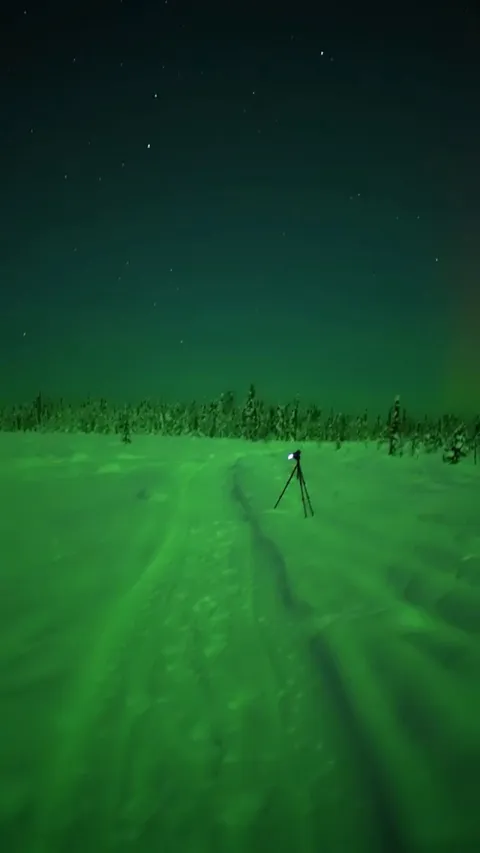 A Bright Aurora Turning the Entire Ground Green - Fairbanks, AK