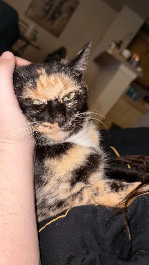 Our little sweet girl we adopted two days ago