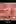 So many influencers are throwing away any shred of credibility they had to glaze Mikayla Nogueira’s lip kit line