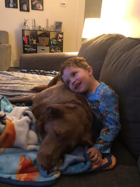 My Bassi bear tuned 10! My best boy, the best “big” brother and my best friend:)