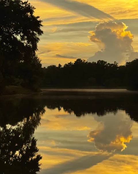 🔥Golden sky reflected