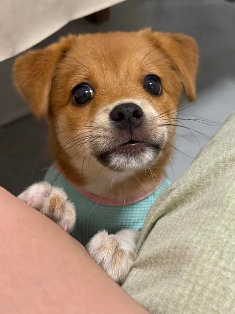 Just wanted to say hello with these eyes