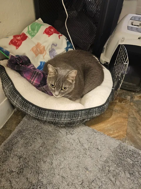 My new daughter, yes her eyes are just like that