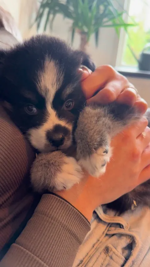 He chose the one spot in the house that made him feel safe ❤️