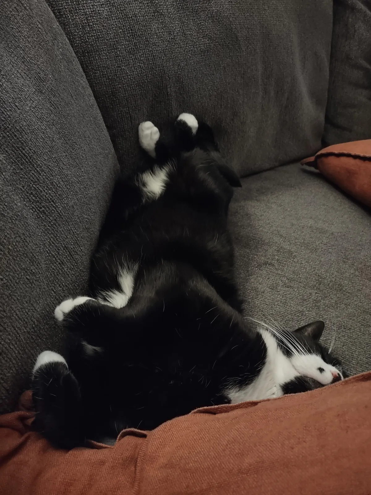 Who sleeps like that? 