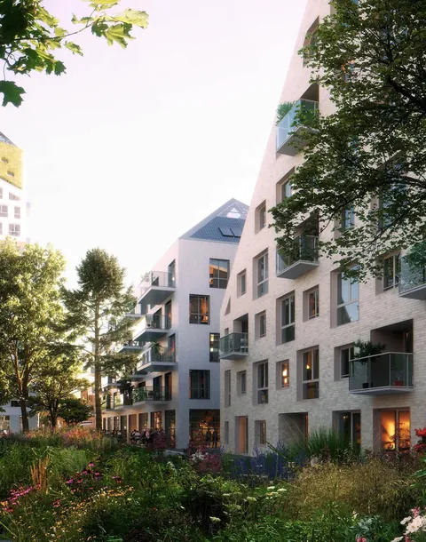 Nieuw Bergen by MVRDV