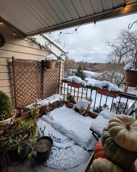 My Apartment Balcony- Year 3 (All Four Seasons 2024)