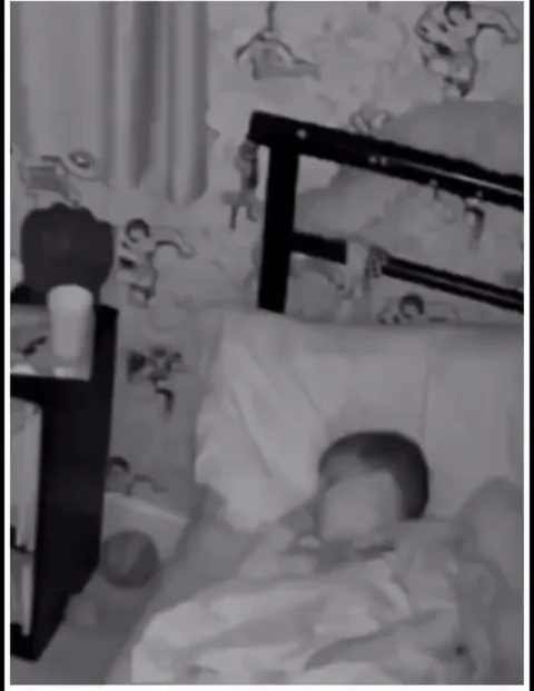 The actual cutest thing I’ve seen in my life