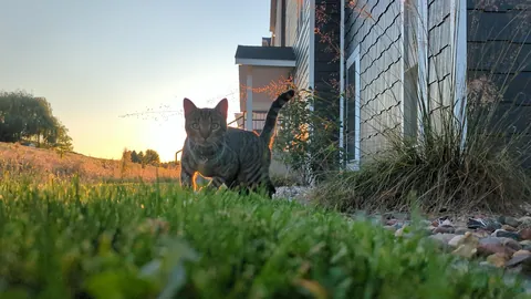 My bubba passed away suddenly.