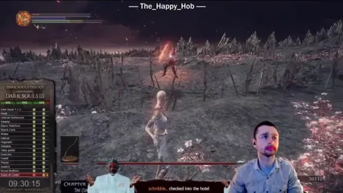 This man was attempting a no-hit dark souls trilogy run. If he gets hit once then he restarts the game from the beginning. This is the final boss of the final game in the trilogy