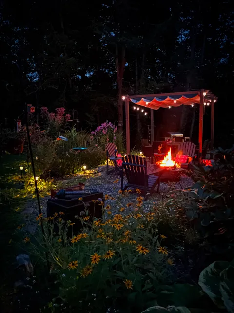 My yard this evening