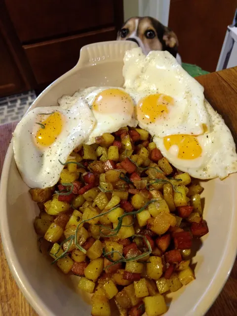Spam and sage hash with eggs