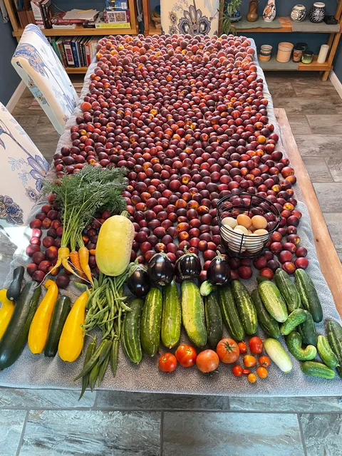 Greetings from the Navajo Nation. Here’s today’s haul.