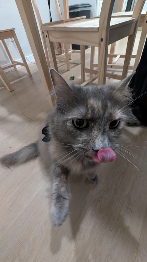 My girl turned 15 this week