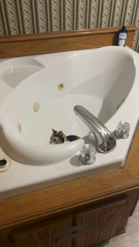 She does this everytime she goes in this bathroom