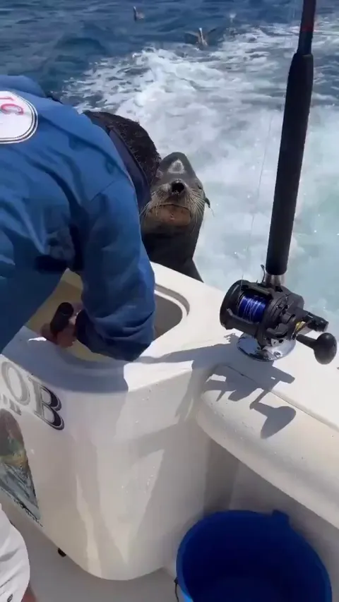 Bro is not ready to take a small one, negotiating for a big fish.