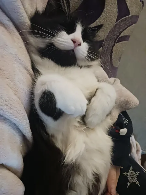 She might have a favourite sleeping position