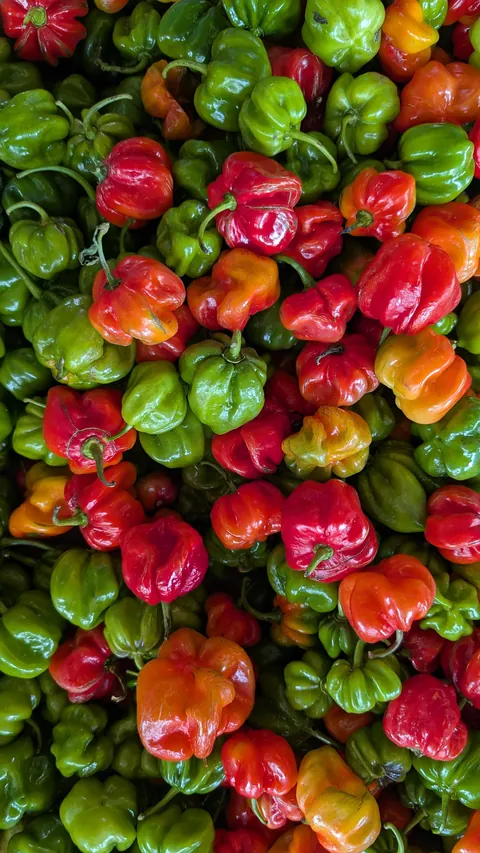 Short but sweet trip to Belize