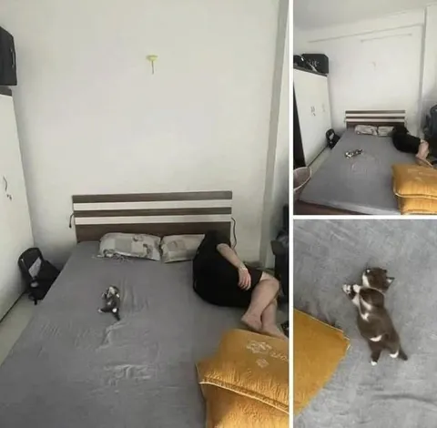 When the bed is not enough for her