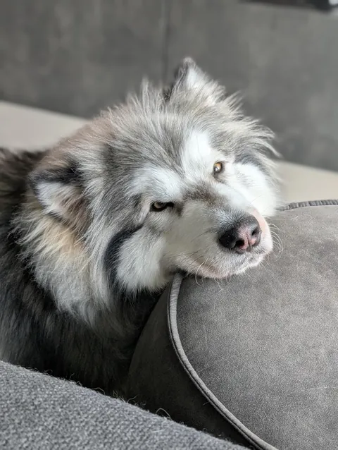 Unamused. Unimpressed. 😐