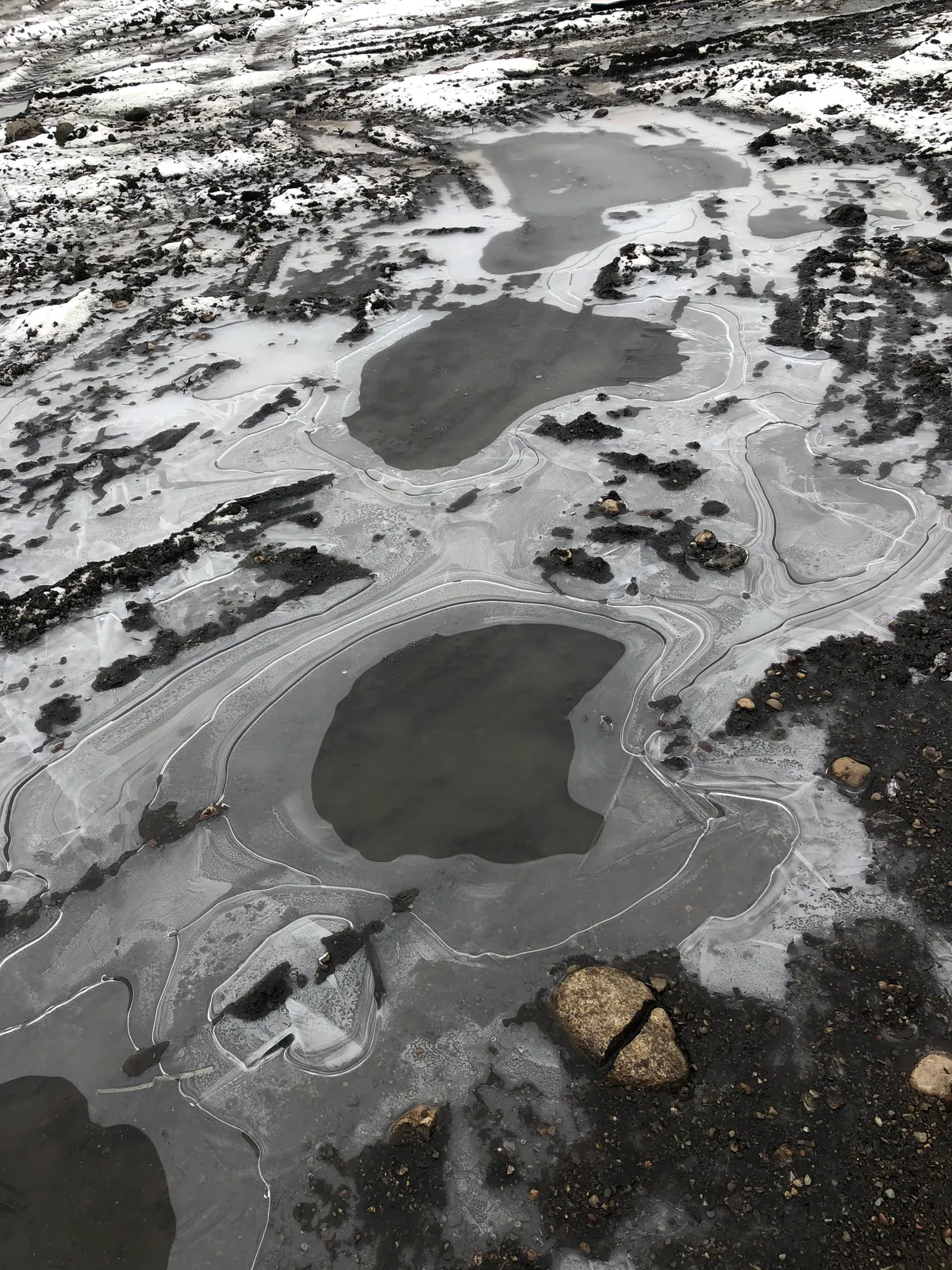 The way this picture of a frozen puddle in my backyard looks like a landscape from the perspective of a plane.