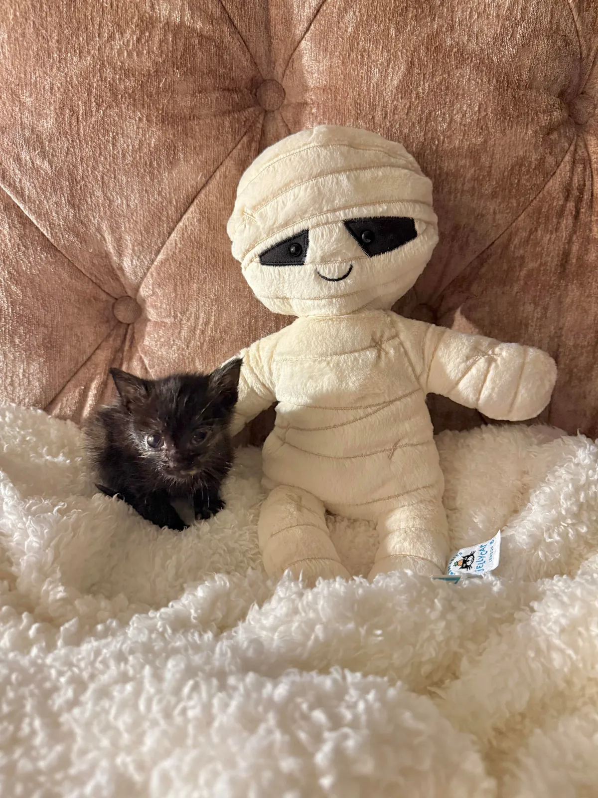 From 6oz to fat ❤️