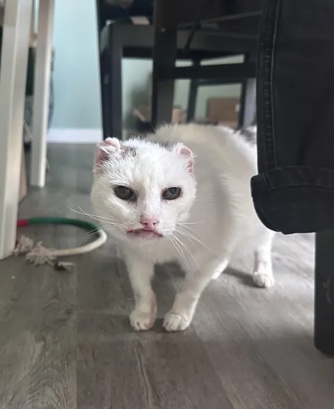 She may be the cutest foster I had