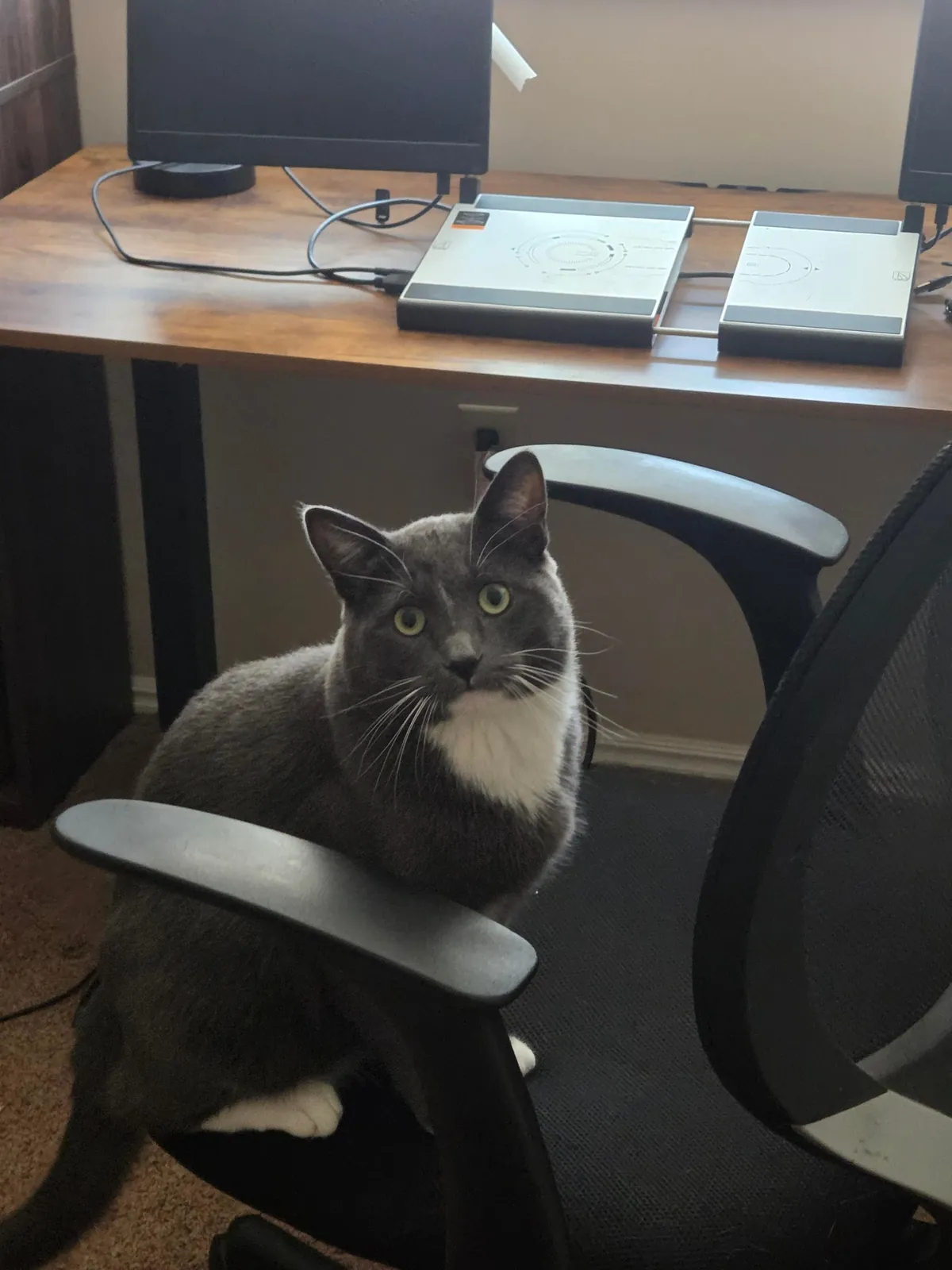 My office manager shredded the toilet paper so that less time is wasted on bathroombreaks.