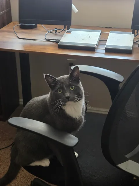 My office manager shredded the toilet paper so that less time is wasted on bathroombreaks.