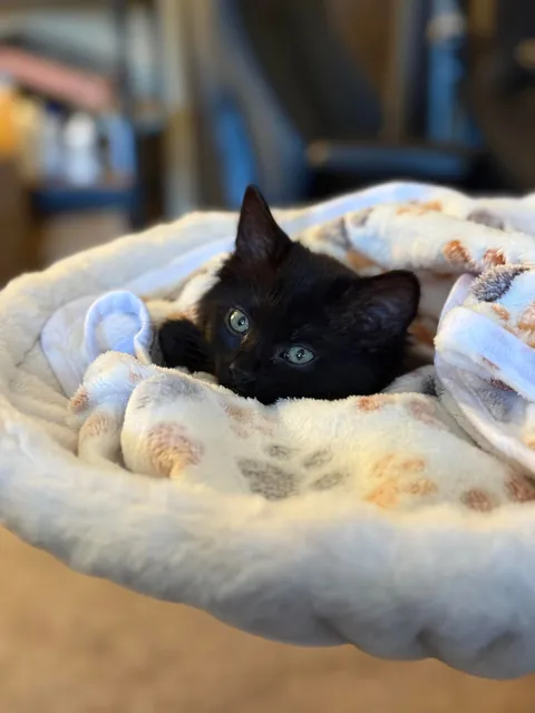 What would you name her?