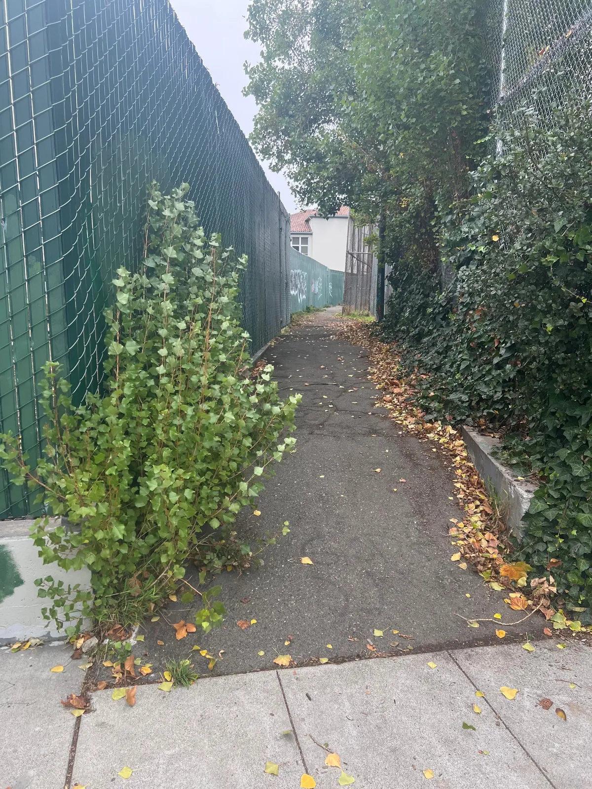[OC] 3 months later and it’s still clean. I am glad to see people use this path again.