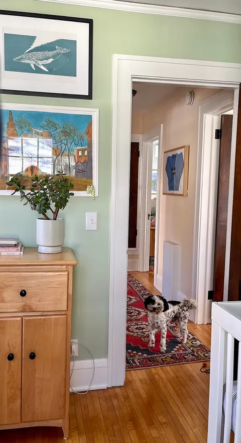 My well-loved and lived-in home (Minneapolis, MN) 