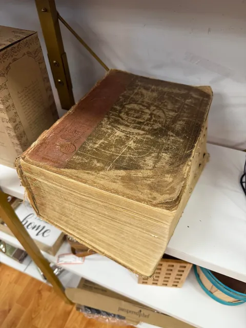 old dictionary i found at the thrift!