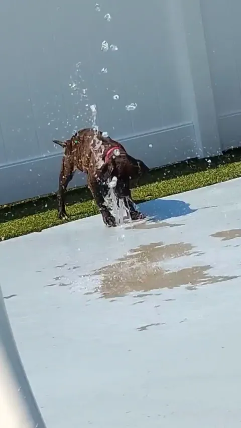Water Derping.