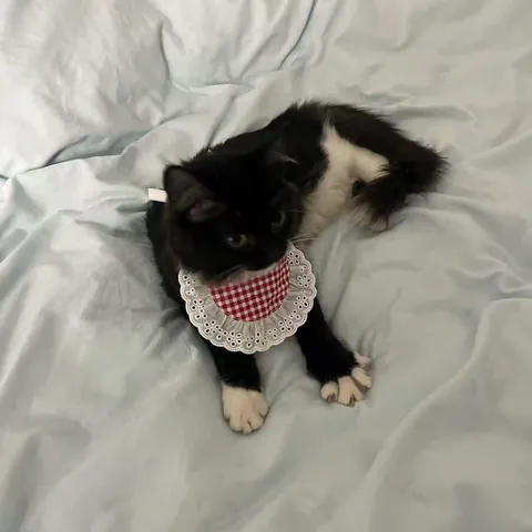 He’s only been in my life for 2 weeks but I already can’t imagine a day without him ❤️