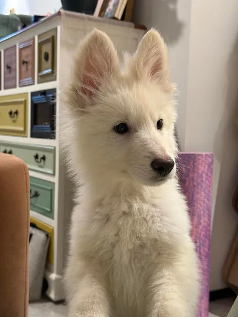 Excuse me, can I come up?