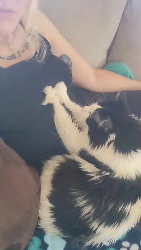 Rehab Therapist Kitty