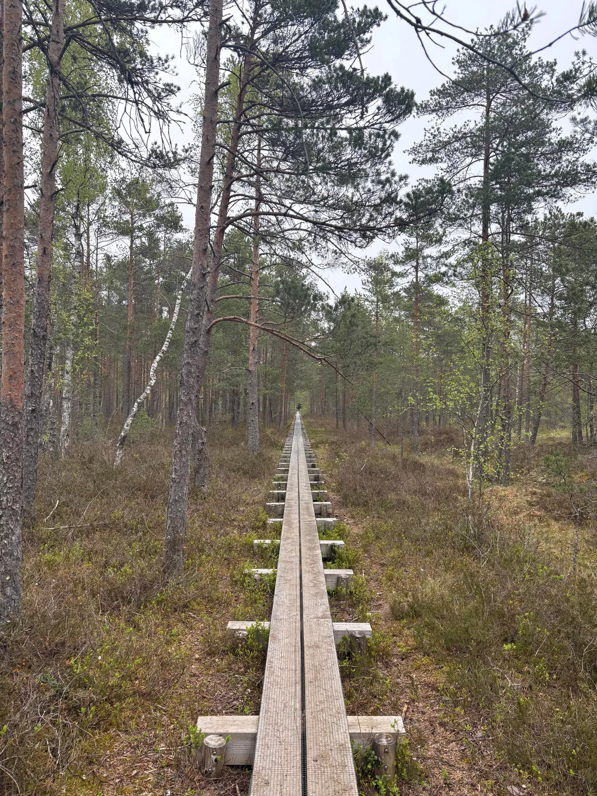 Tallinn in late spring