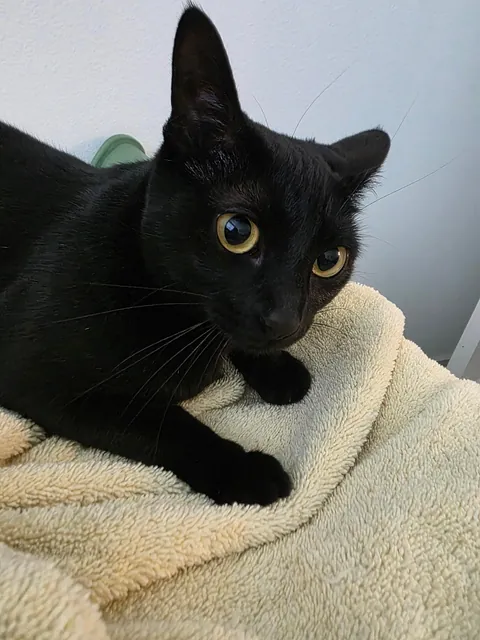 The Void that brings me peace