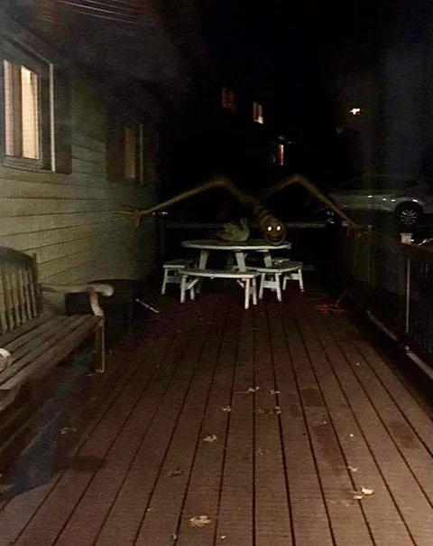 "Its on the porch" (OC)