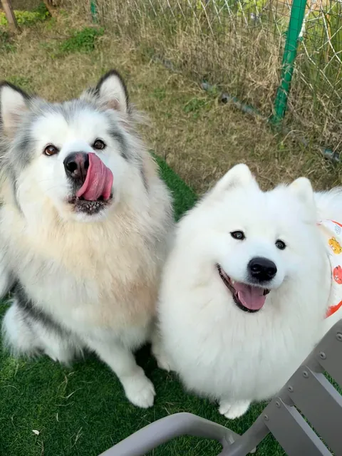 • The Bravest Warriors of Siberia